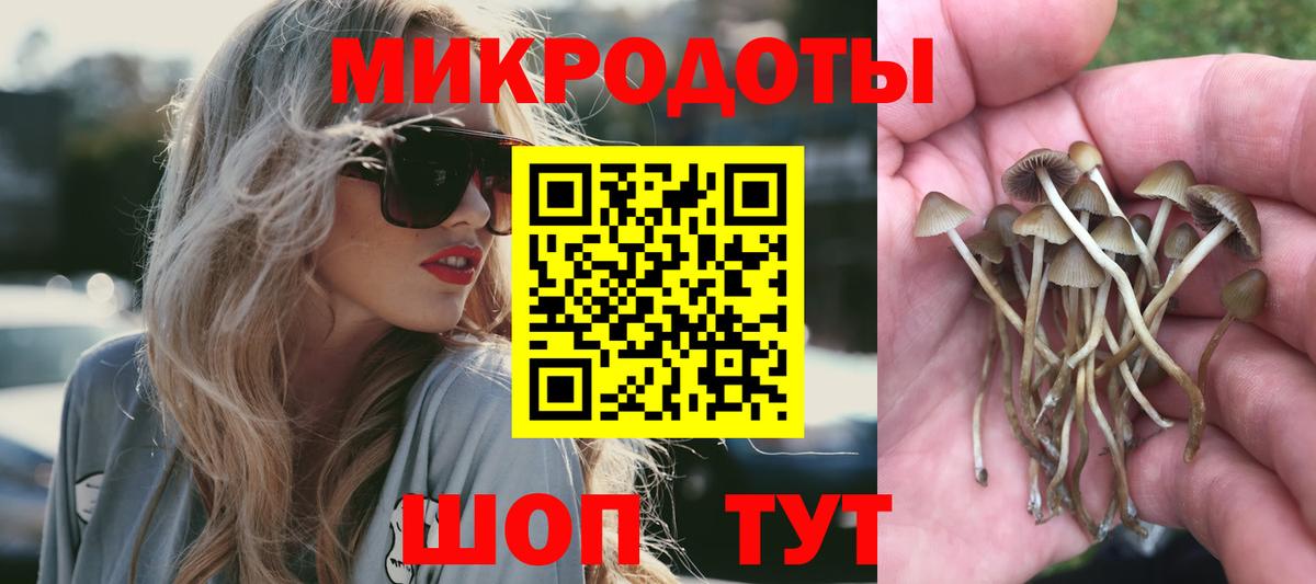 Псилоцибиновые грибы GOLDEN TEACHER Кызыл