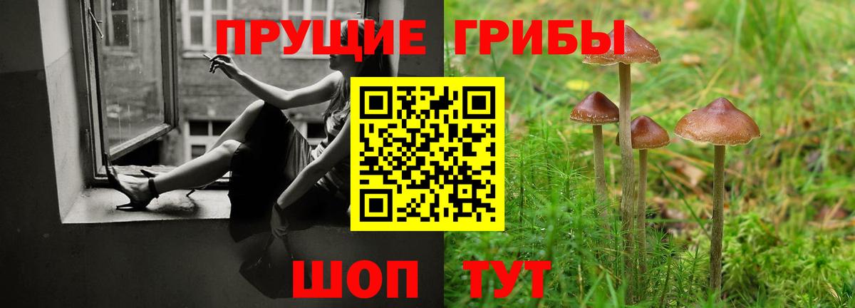 Псилоцибиновые грибы Psilocybine cubensis  Вход с VPN  Кызыл 